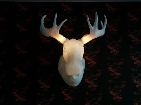 A moose head mounted on the wall above a meeting room.